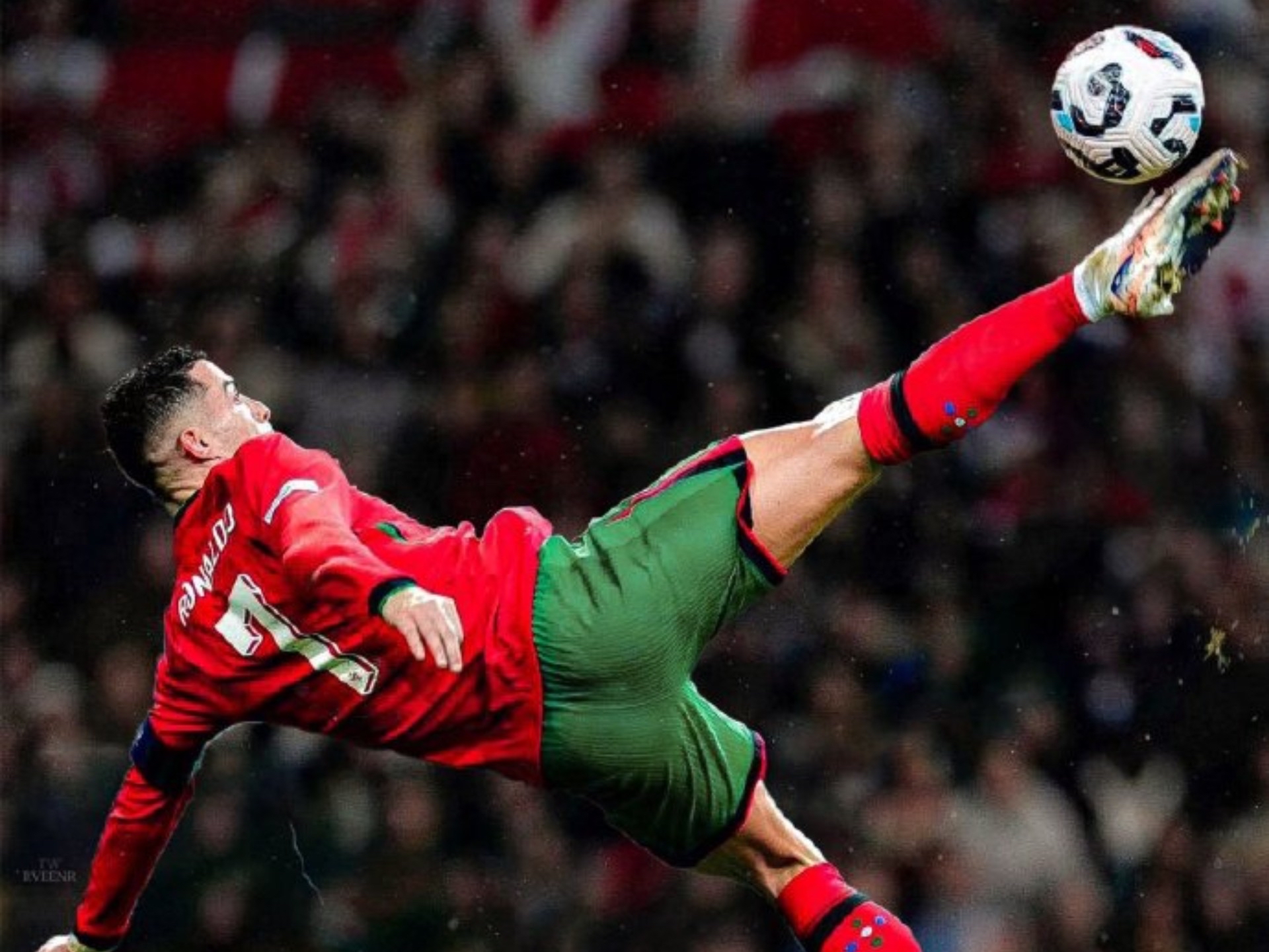 窗口期葡萄牙体育强势反弹：法国杯节点到来，底气十足，年轻球员得到机会的简单介绍华体会移动端